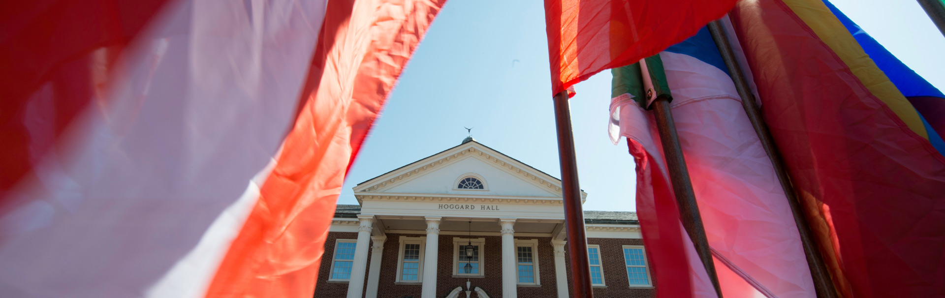 Looking through flag poles at hoggard hall.