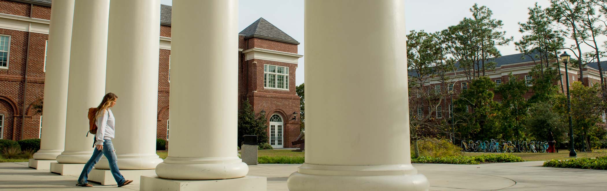 High, strong columns are part of the foundation of the College of Arts & Science Cultural Arts Building.