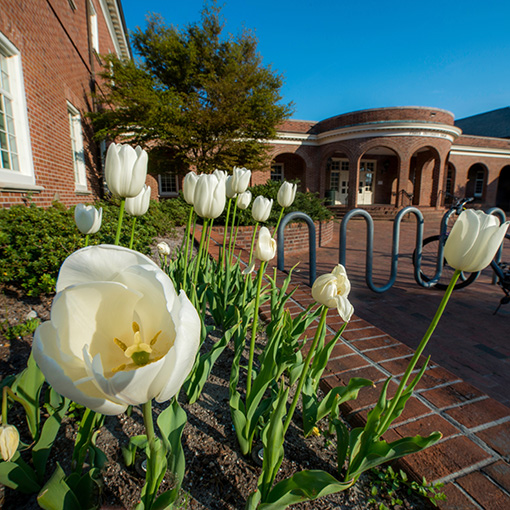 flower on campus