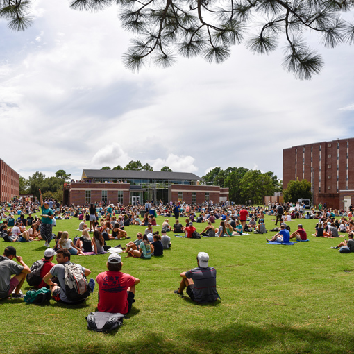 Students gathering in a field