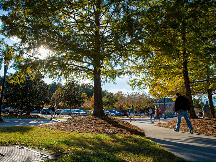 Joyful students enjoying our campus beauty