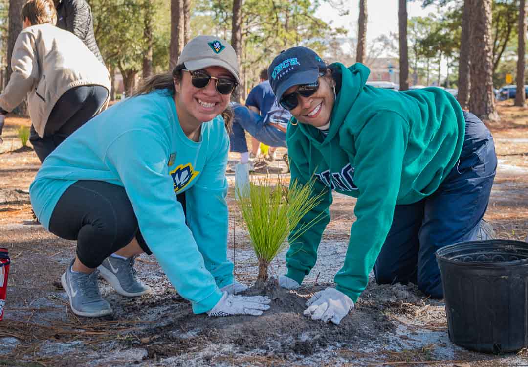 Planting long leaf pines around campus