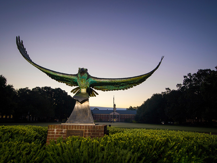 UNCW Seahawk statue at night