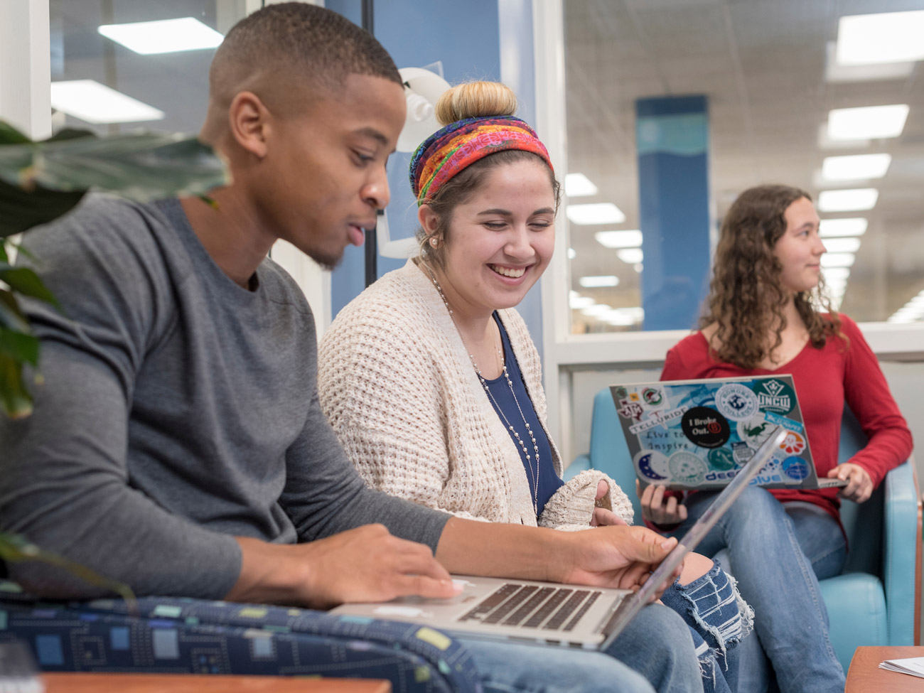 Students in the library studying