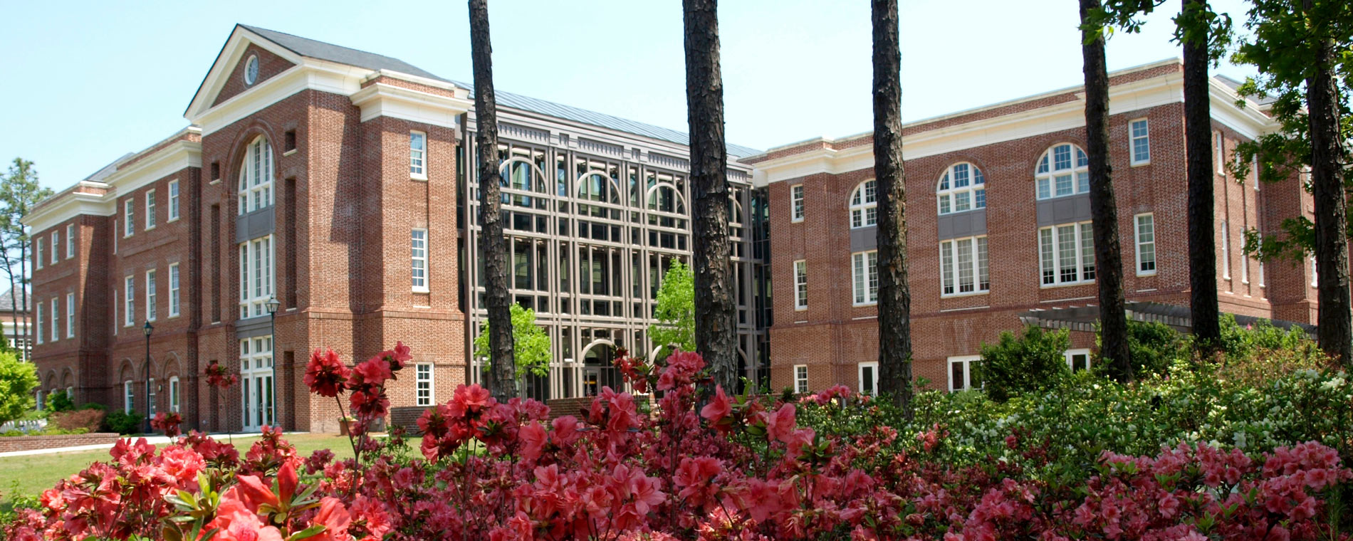 Roses in front of Watson College's building