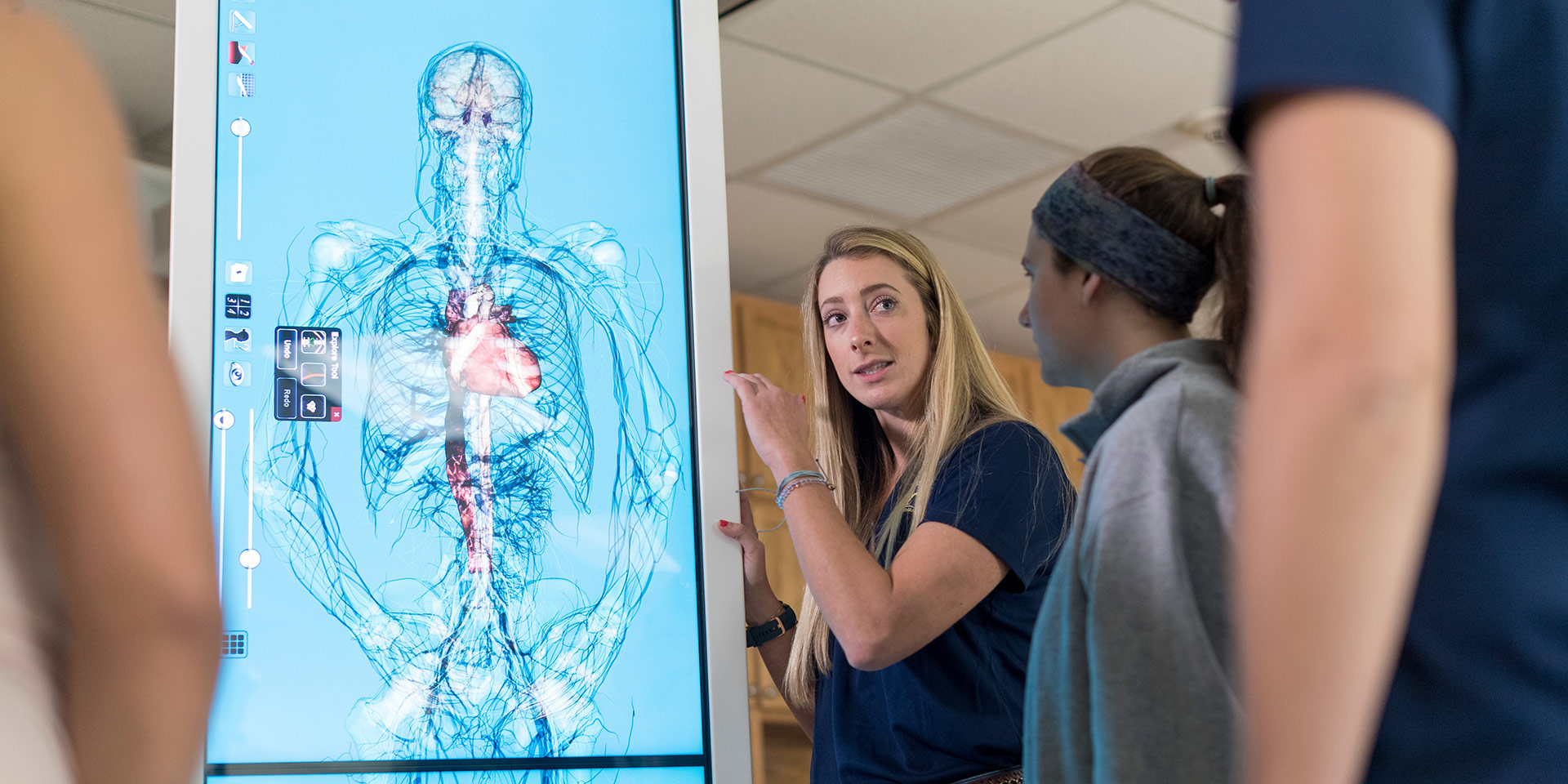 students examine a life-size screen depicting the human nervous system.