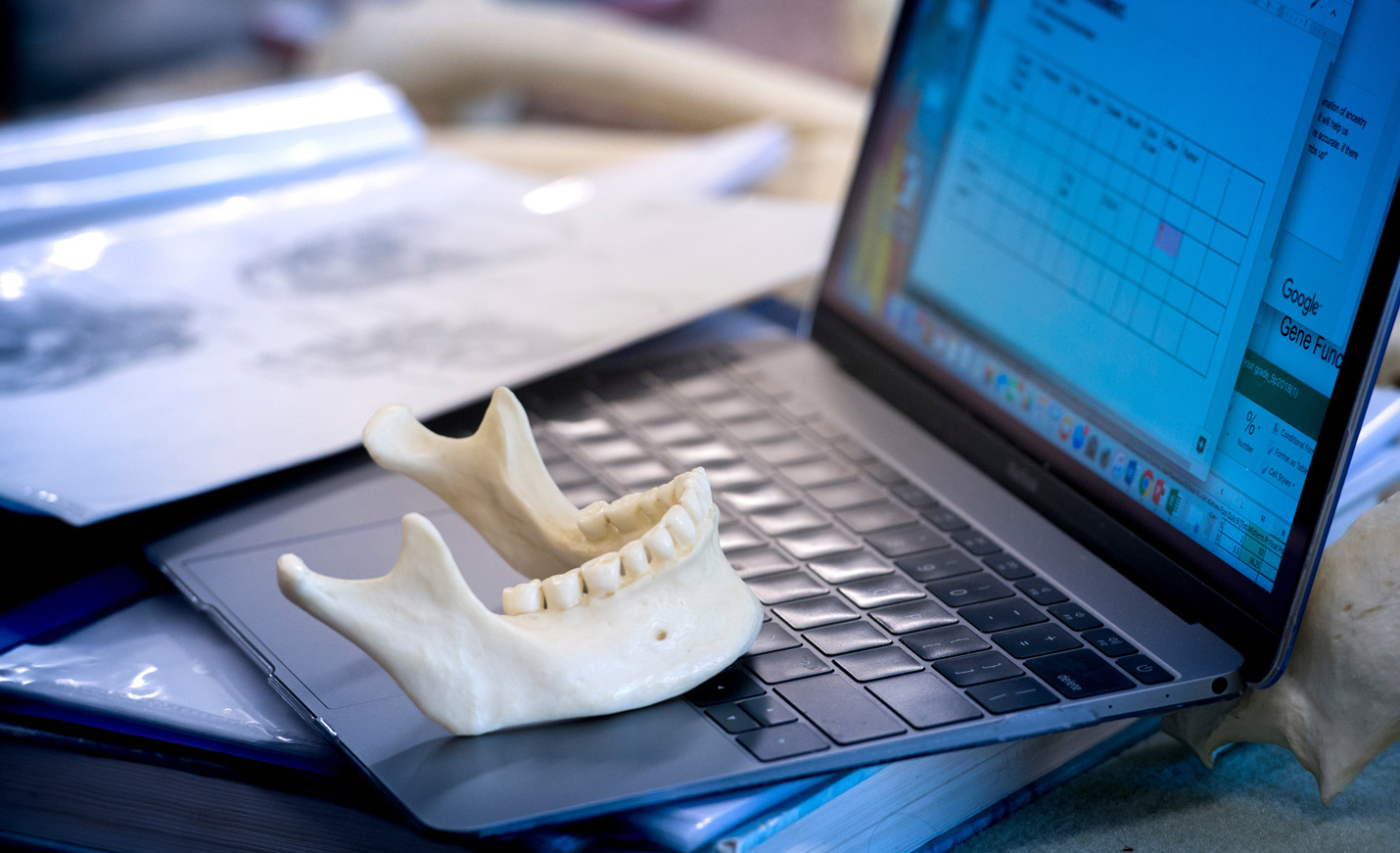 jawbone with teeth on a laptop keyboards