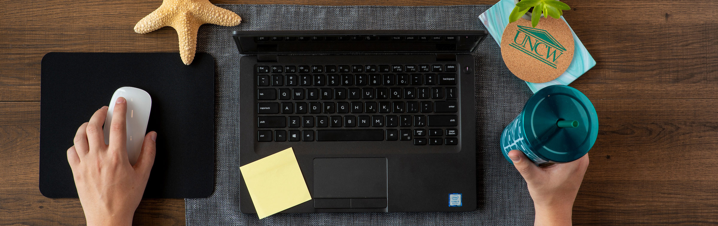 a person working on a laptop at a uncw themed desk