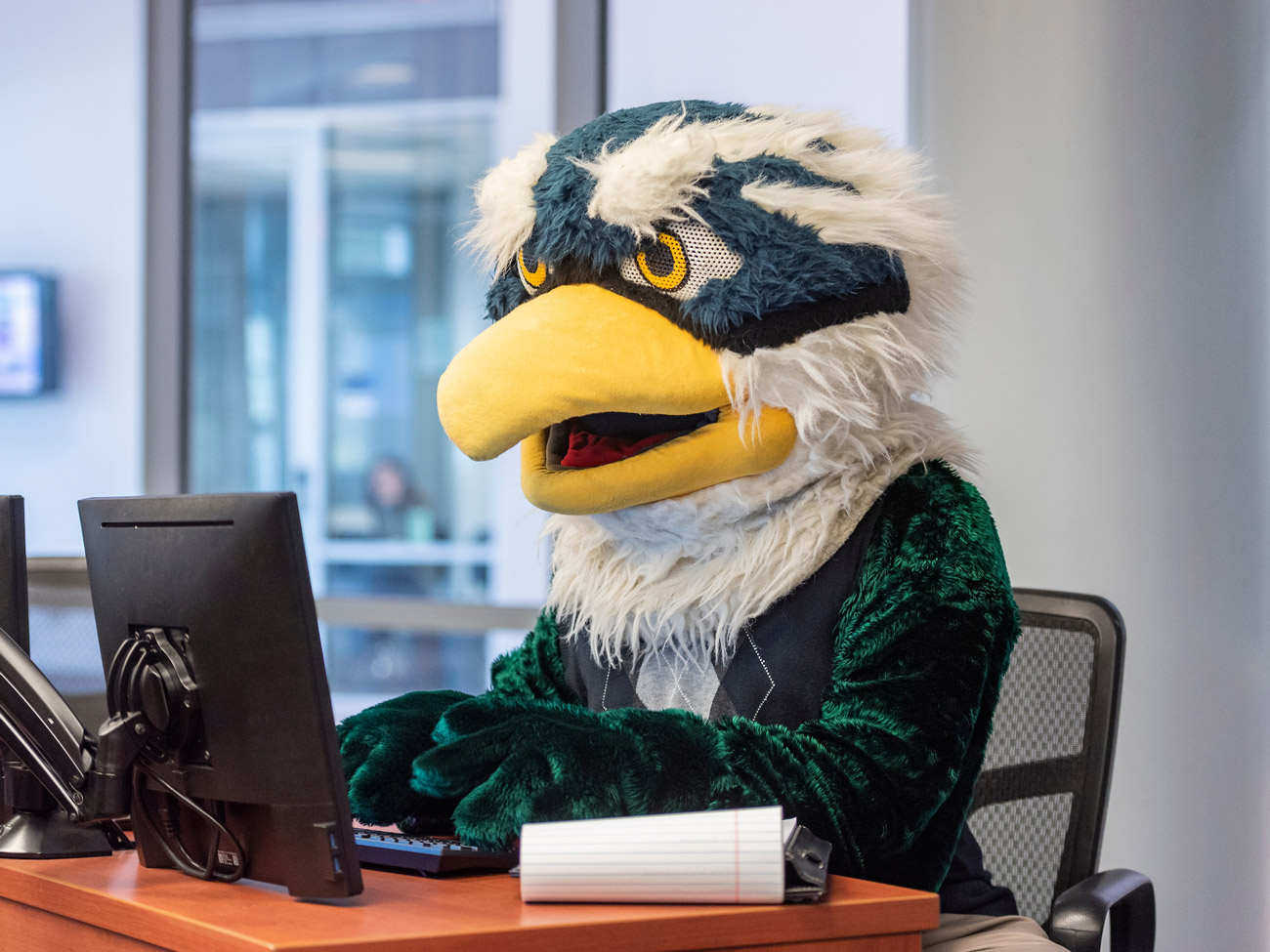 Mascot Sammy Seahawk using a computer