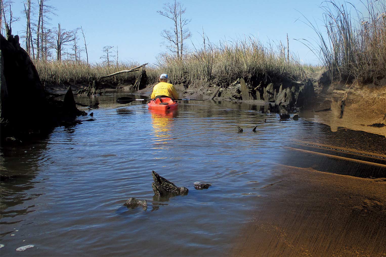 Using side-scan sonar and positioning systems, researchers search for archaeological evidence of the rice fields once situated along the banks of the lower Cape Fear and Brunswick rivers. The far right of the image is a sonar overlay of the riverbed.