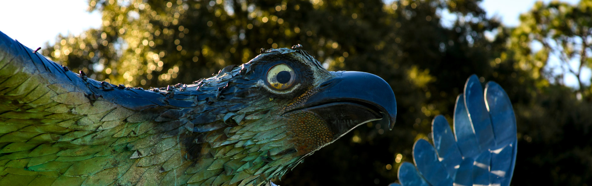 Statue of a Seahawk