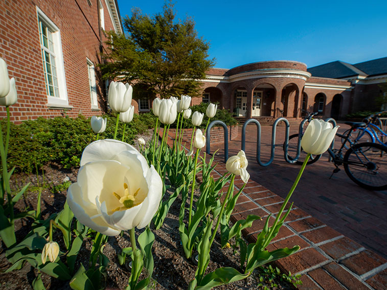 Campus beauty with flowers blooming on campus