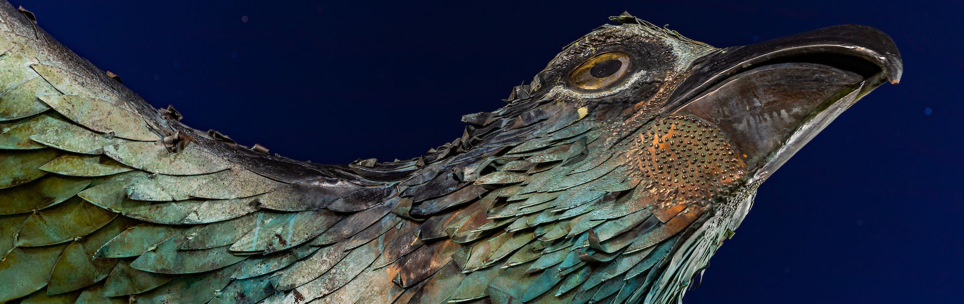 Seahawk Statue at night