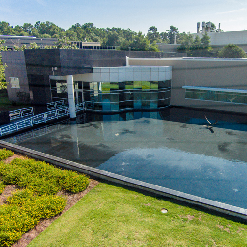 An aerial exterior view of the Center for Marine Science