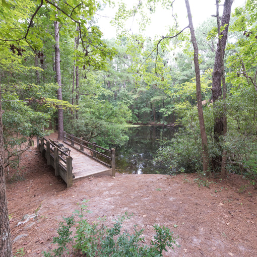 Nature preserve on UNCW campus hosts an outdoor classroom, bridge, and pond