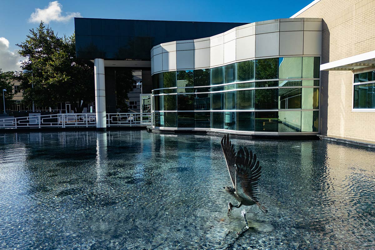 Center For Marine Sciences Crest Campus