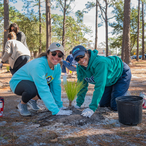 Group planting trees on campus