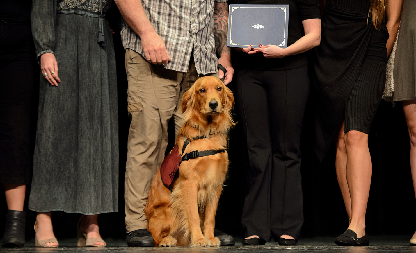 A service dog sits with four people standing behind holding the dogs graduation certificate.