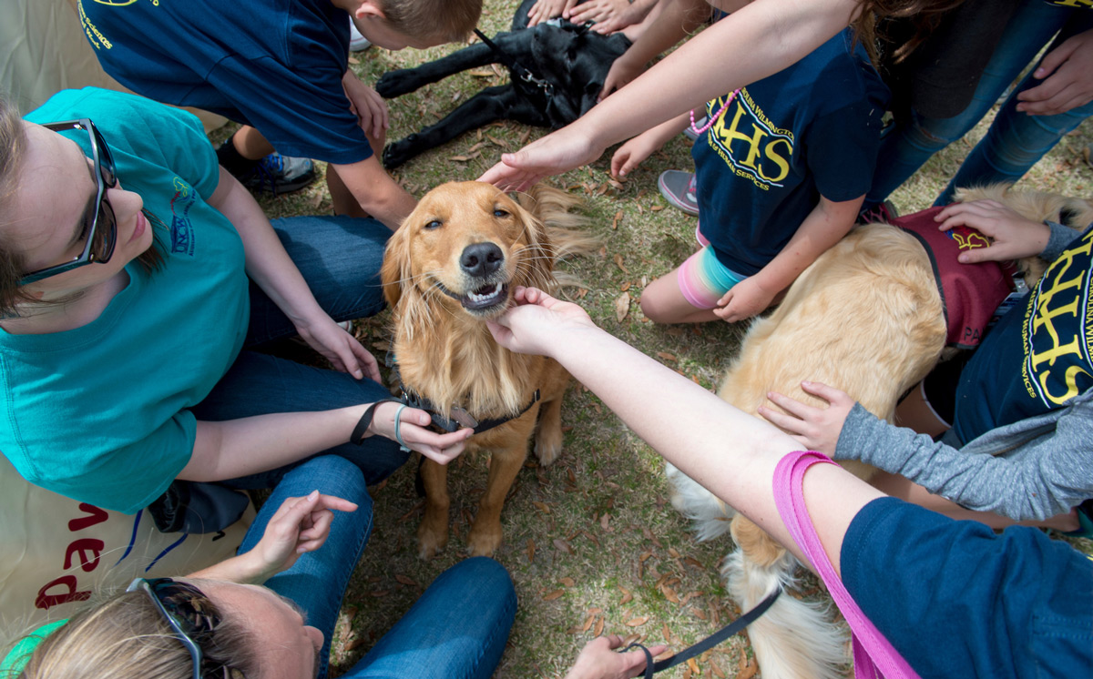 Service dog being pet by students