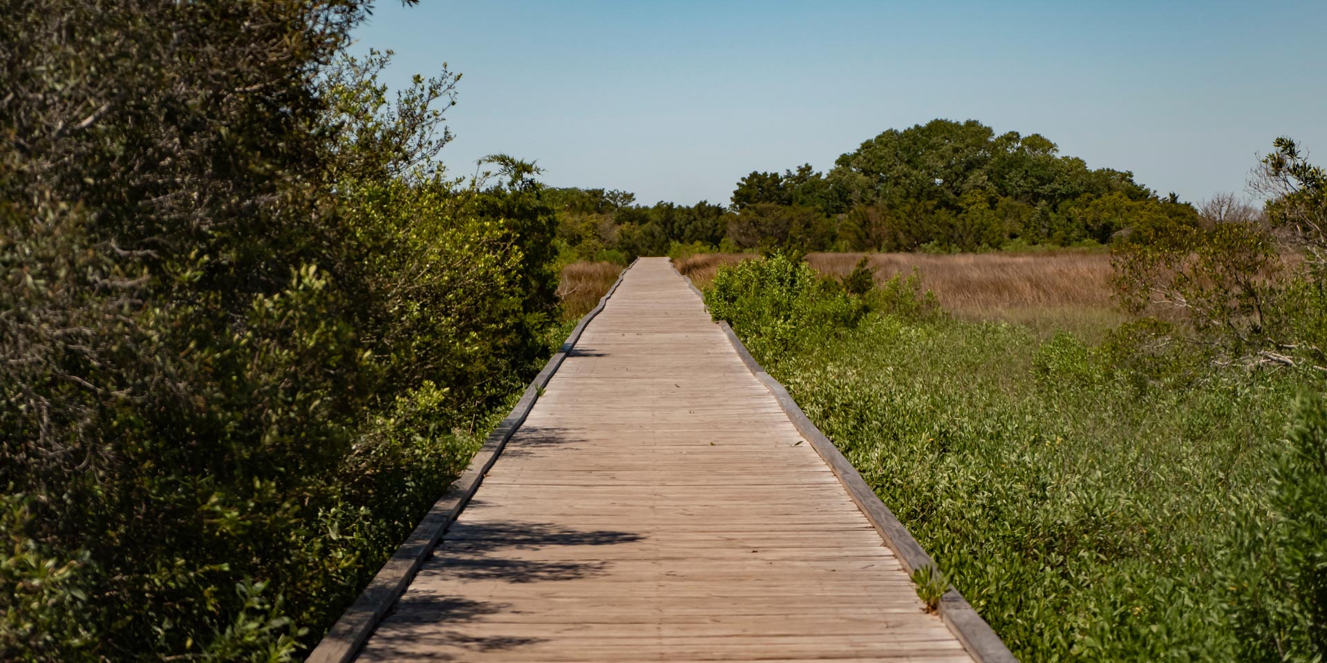 A picture of the Fort Fisher Basin Trail