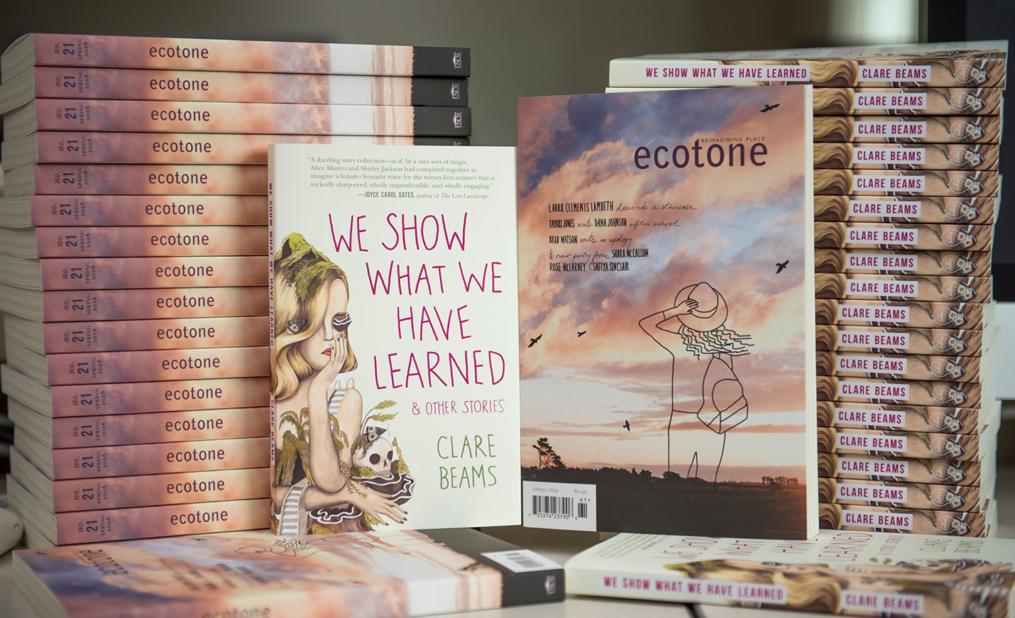 display with Ecotone and We Show What We Have Learned by Clare Beams