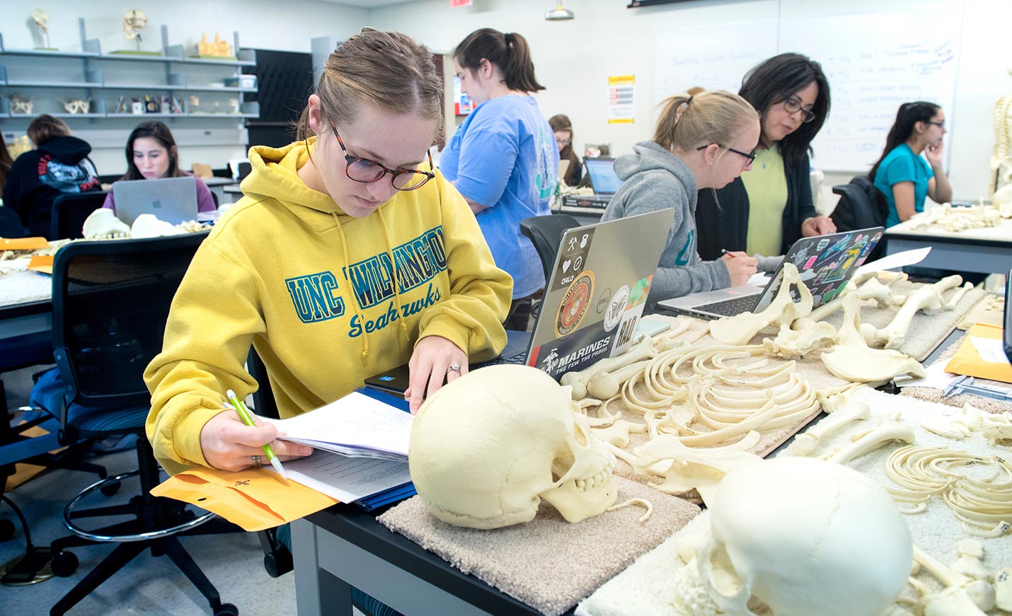 Student studies bones