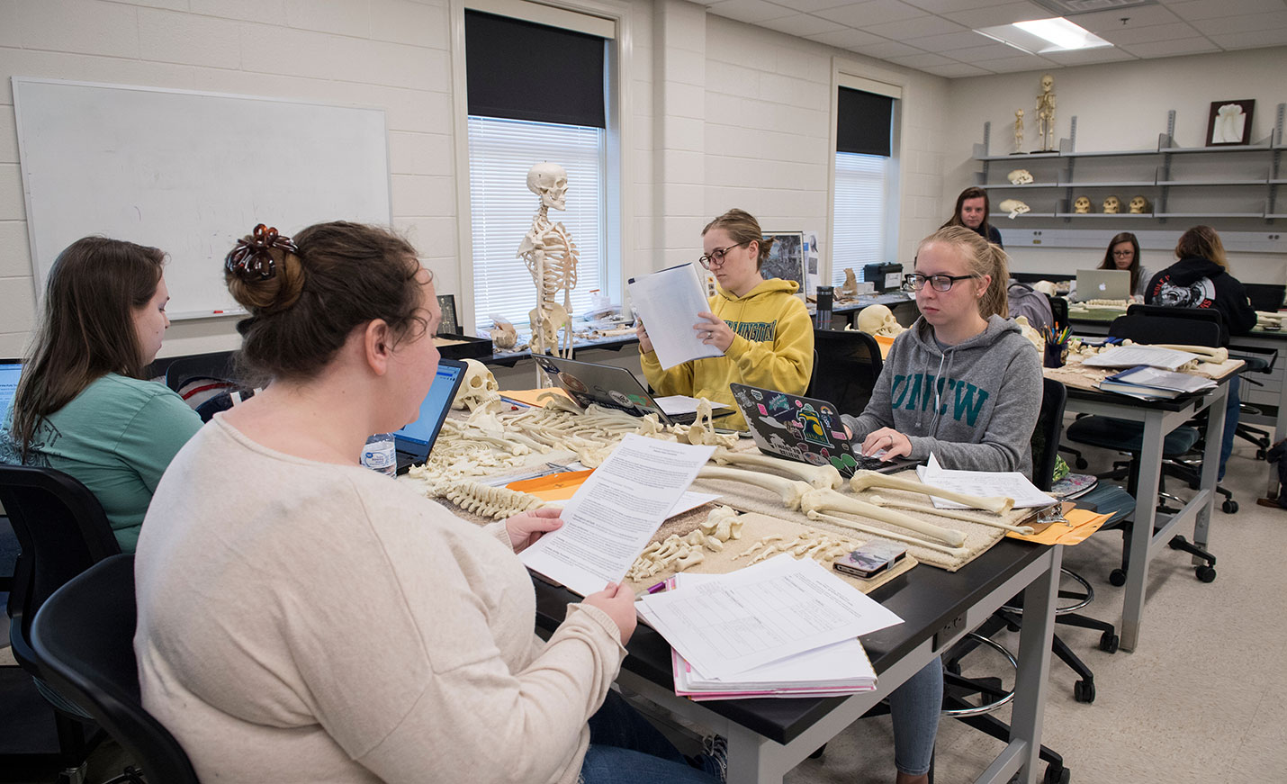 CSI students study bones in a classroom setting