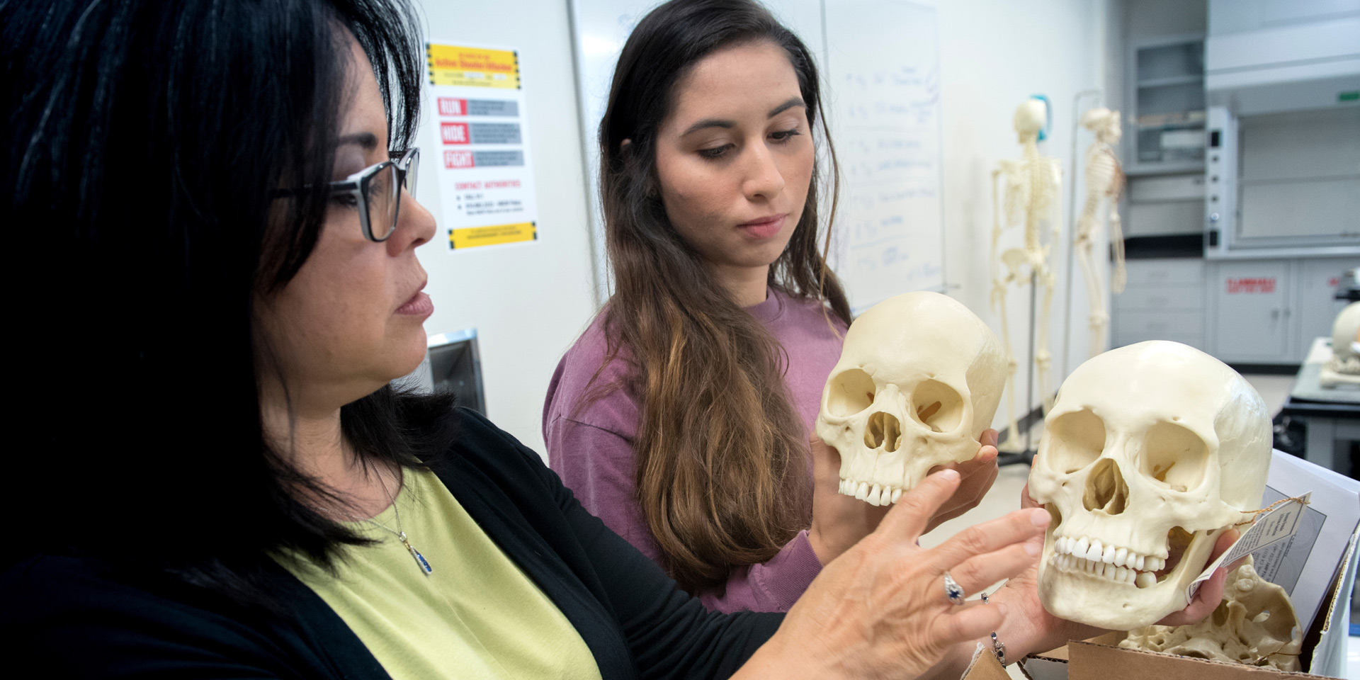 A professor and a student examining human skulls
