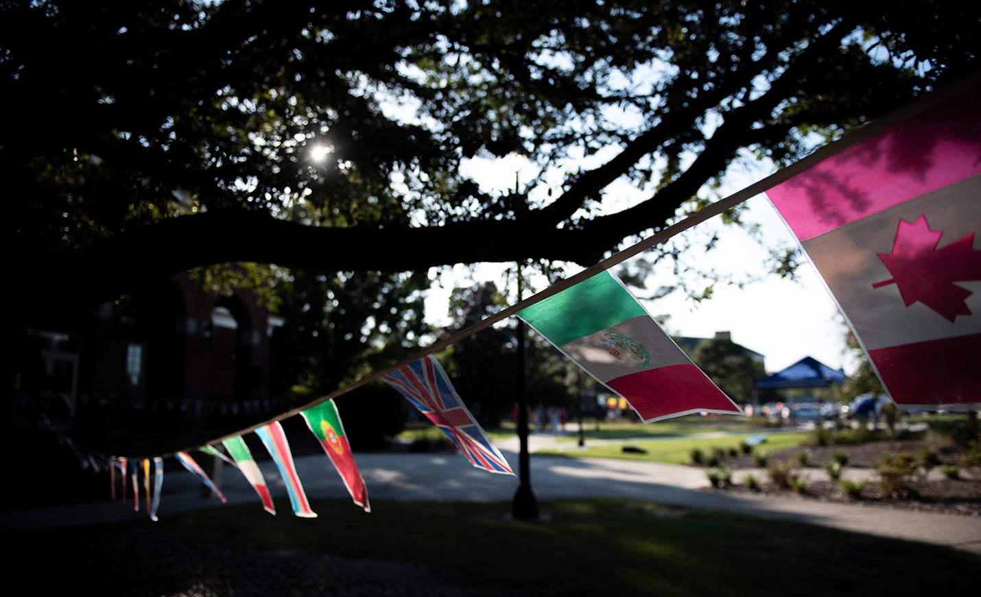 international flag banners hanging on campus