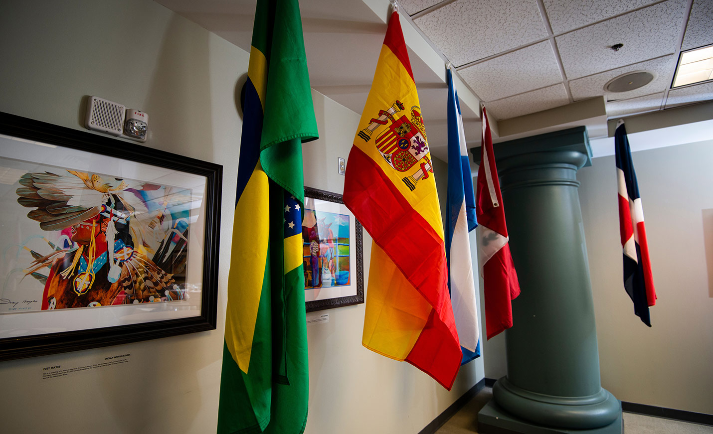 A display of several world flags