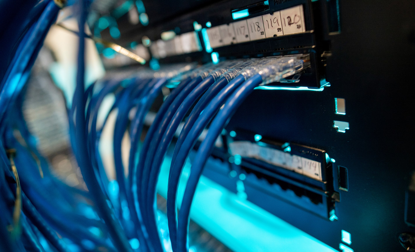 Blue Cords