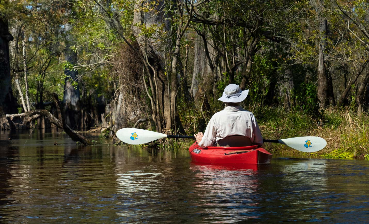 Kayaker In River Dsc