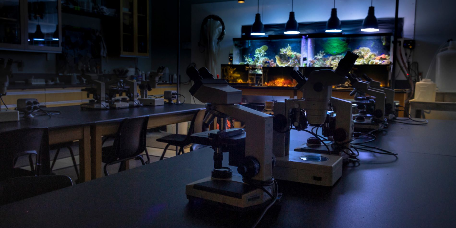 Microscopes In Class