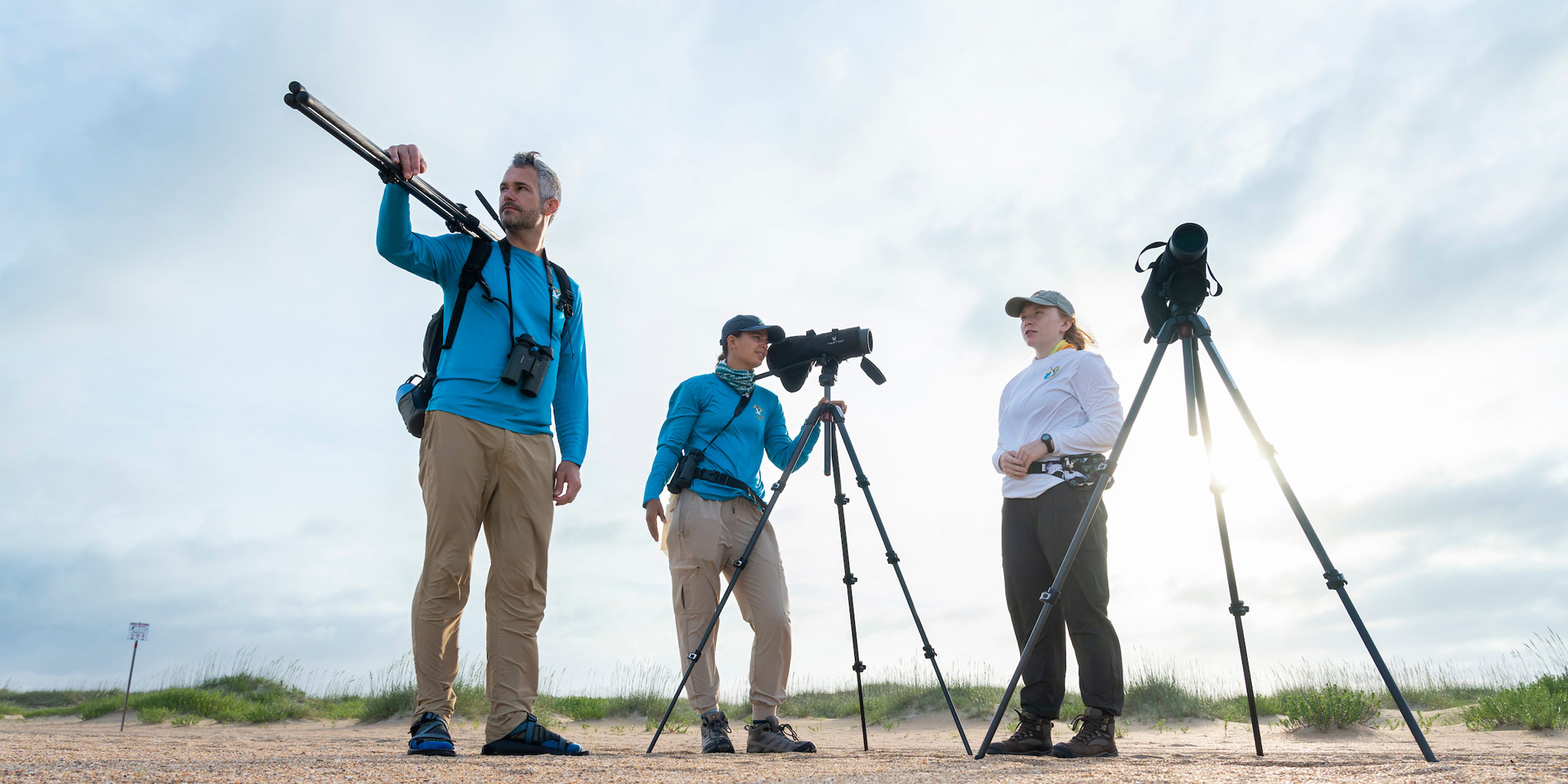 Researchers on a beach with camera equipment