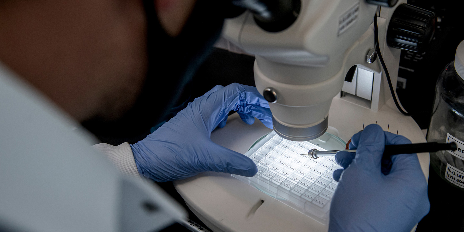 A student works with a microscope in a chemistry lab