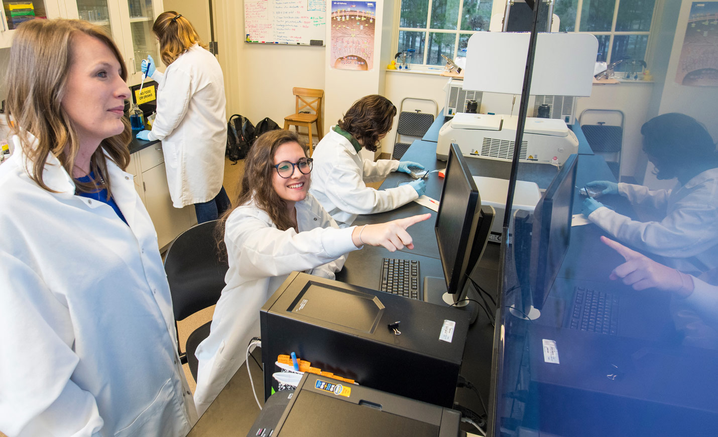 students in a lab studying the psychoneuroimmunology effects in mice brains.
