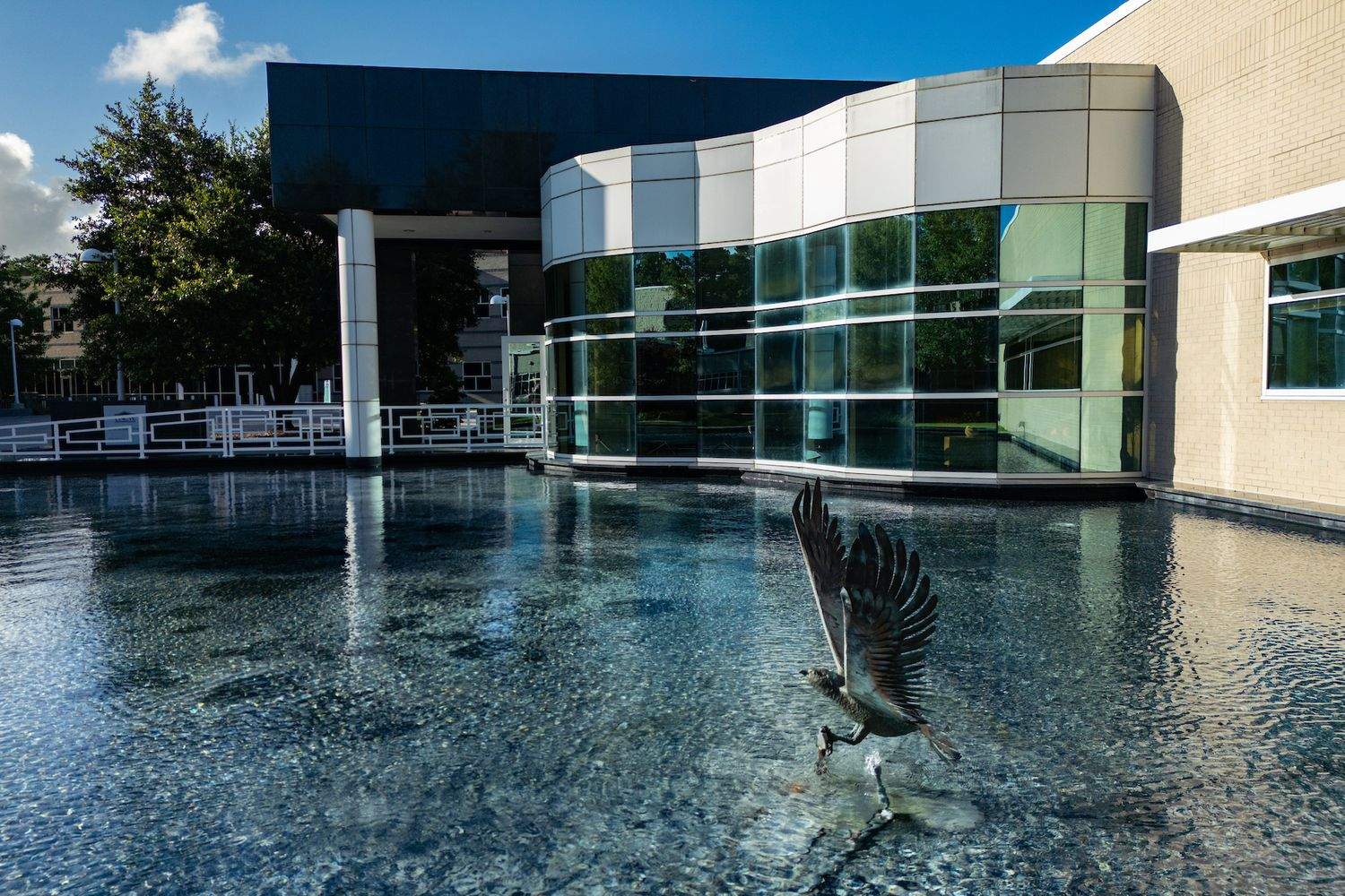 UNCW's Center For Marine Science