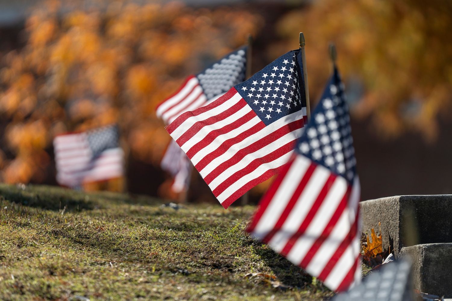 American flags fly on UNCW campus