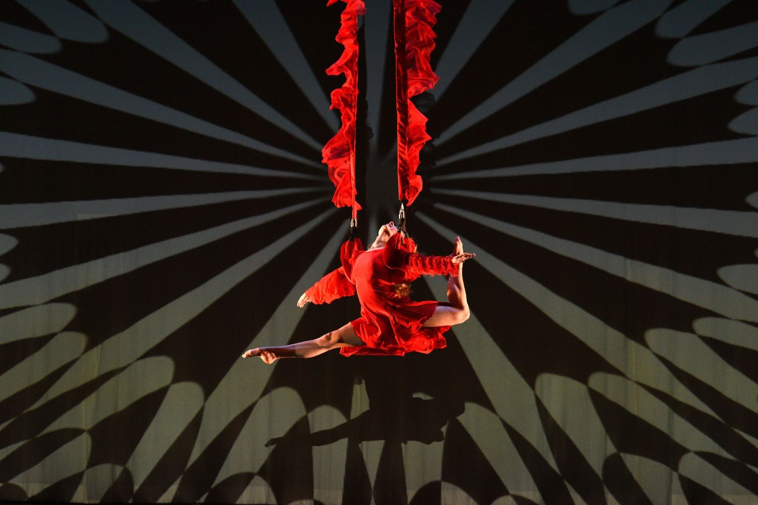 Momix dancer suspended in the air 