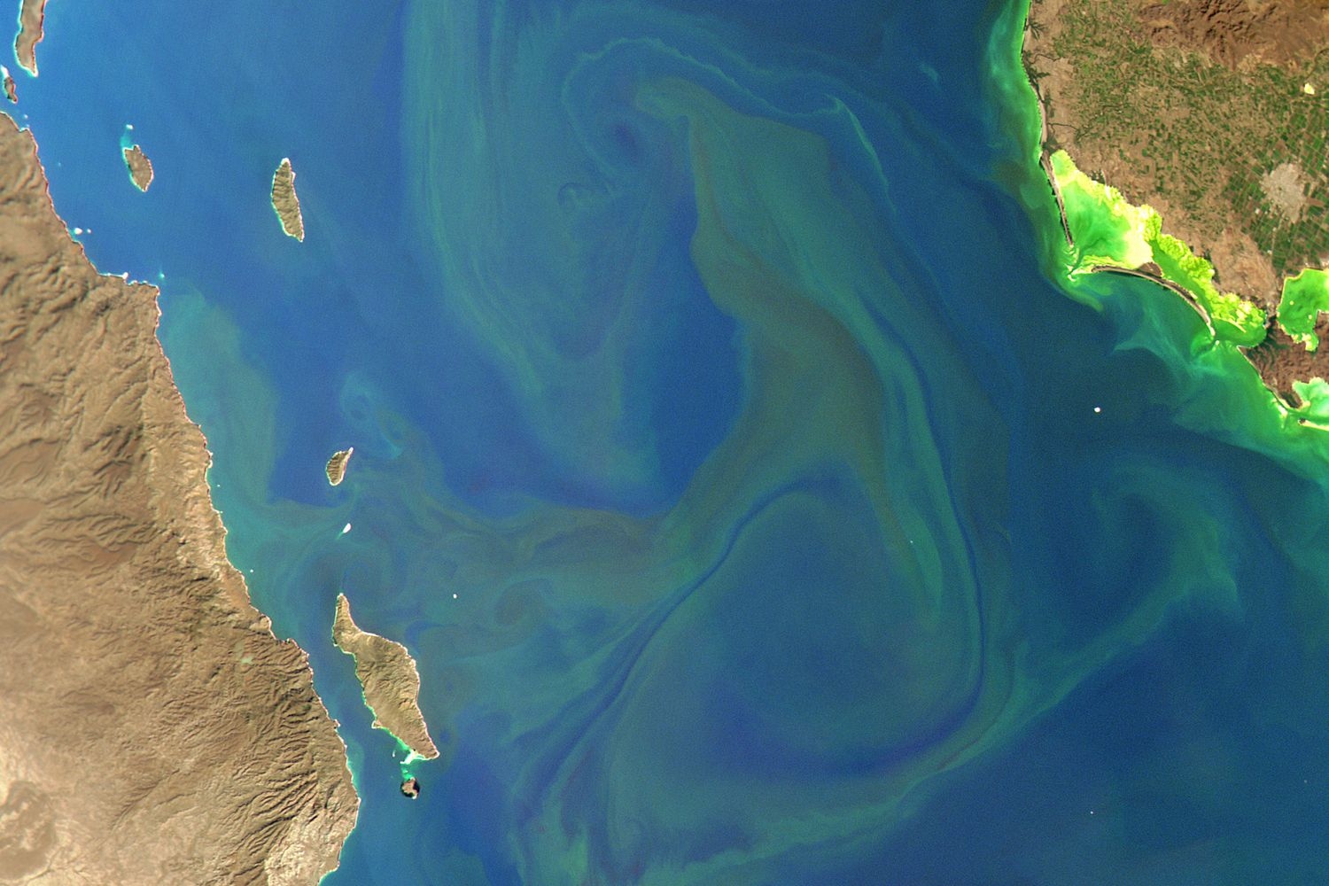 Lapaz Baja California January 6th, 2023
