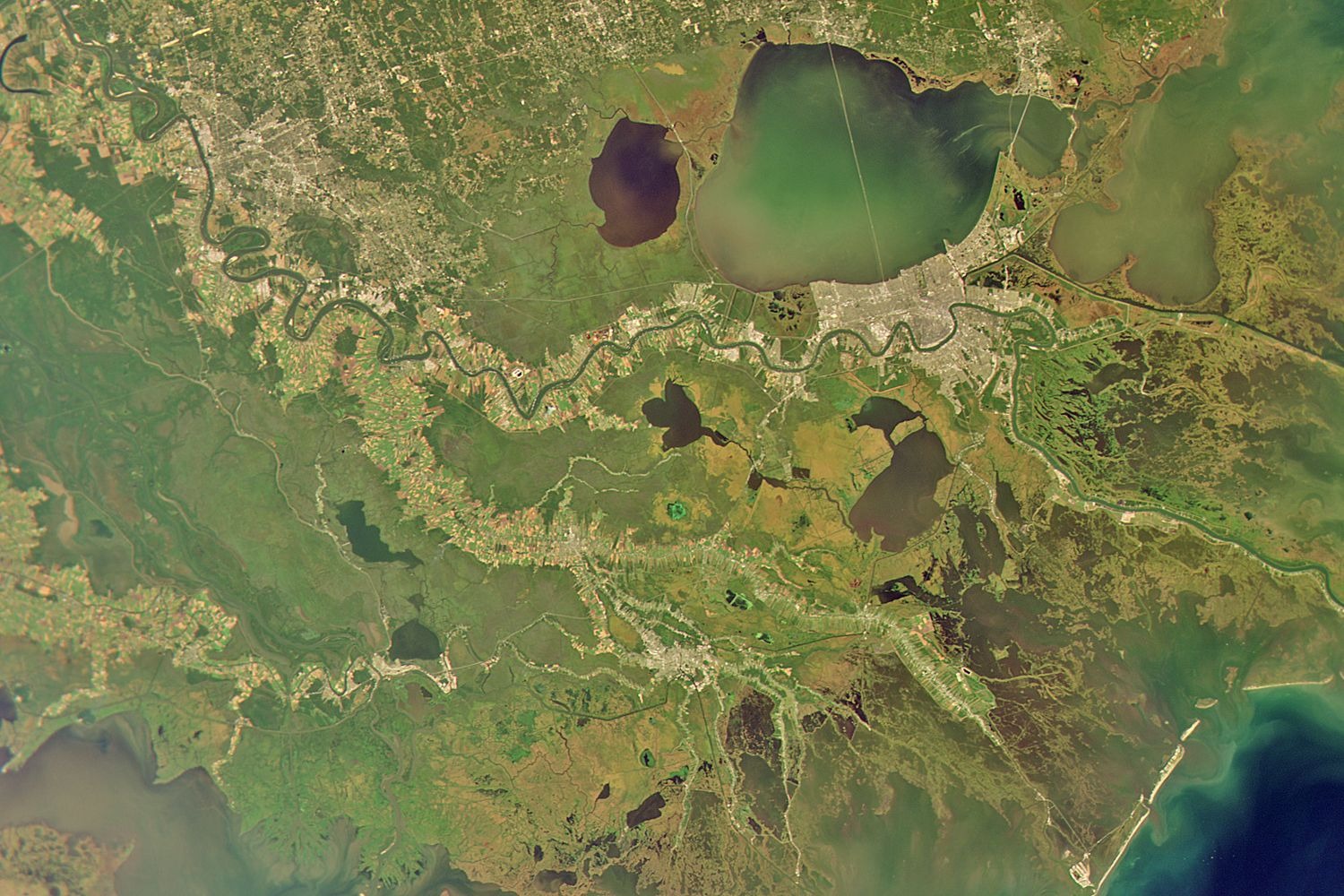 New Orleans October 14th, 2022