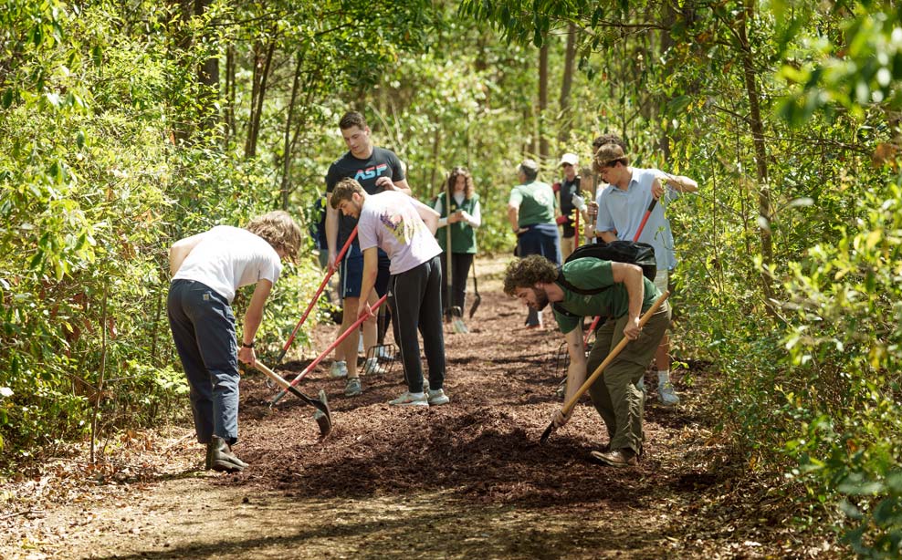 Students with shovels are spreading mulch on a trail path. 