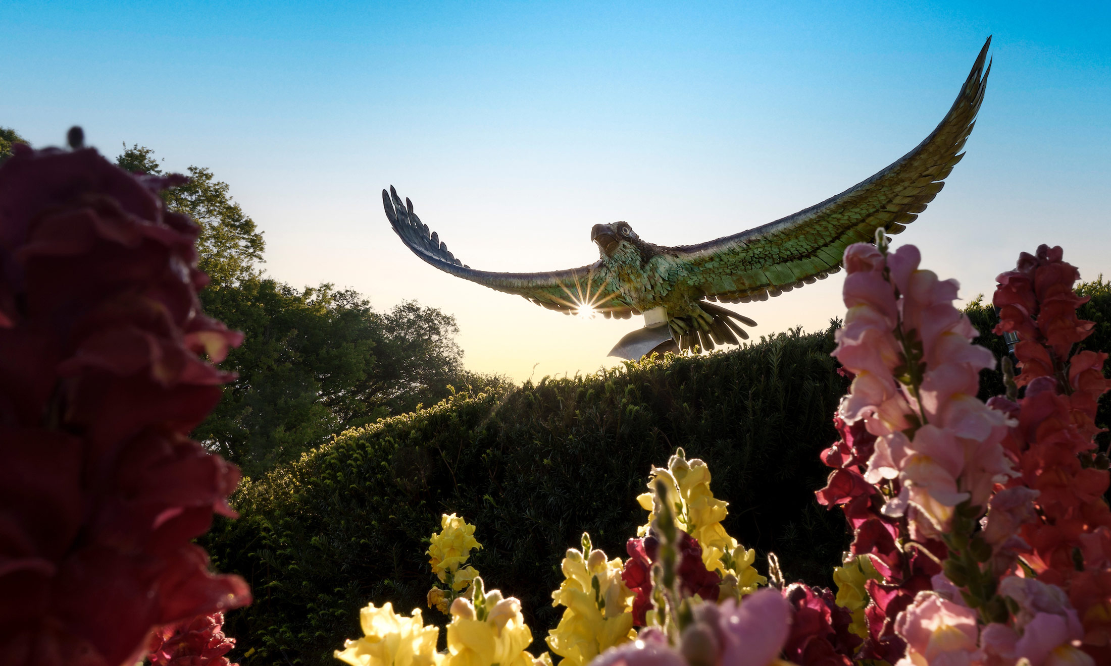 Seahawk statue and garden