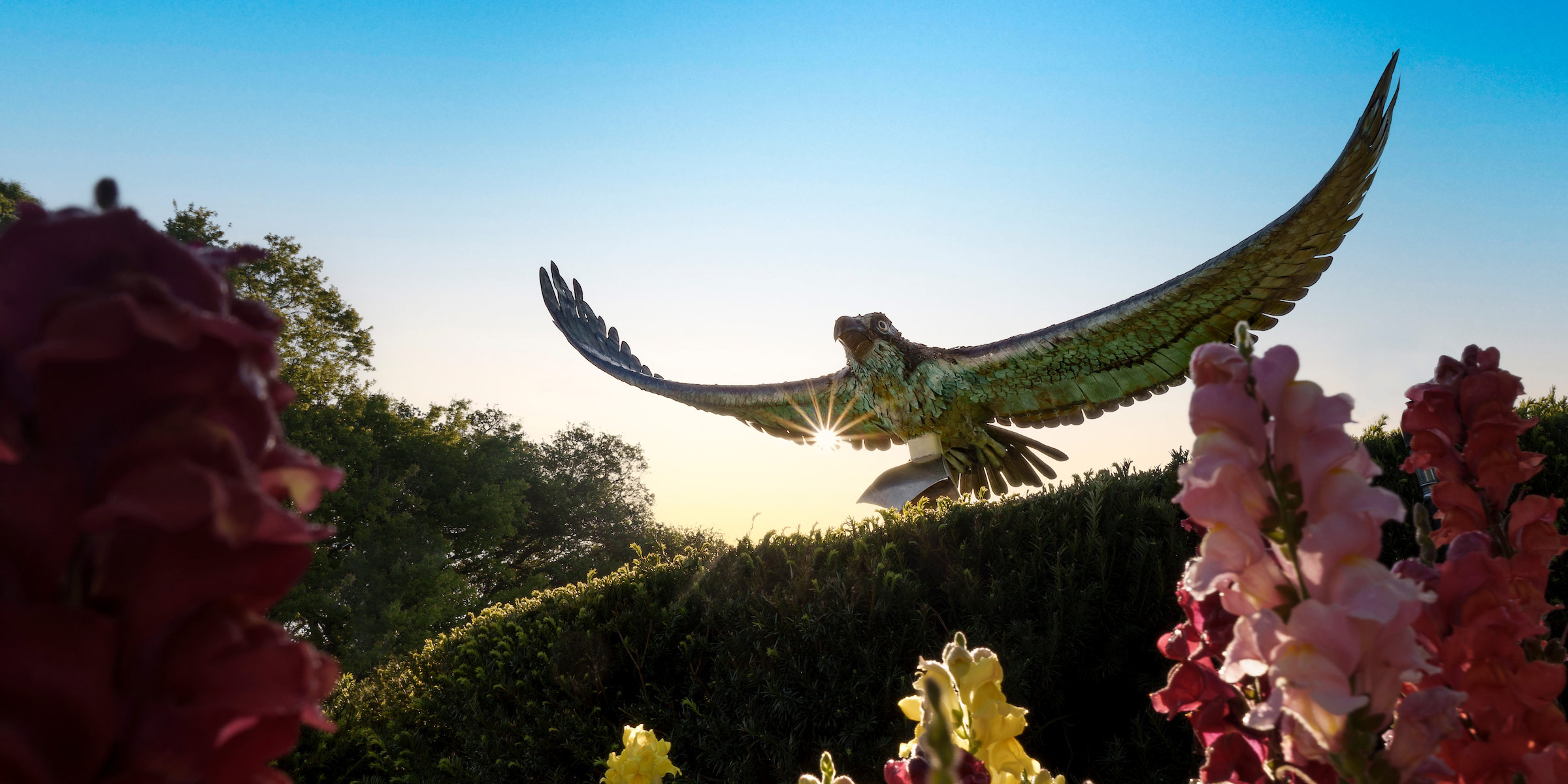 seahawk statue surrounded by spring flowers
