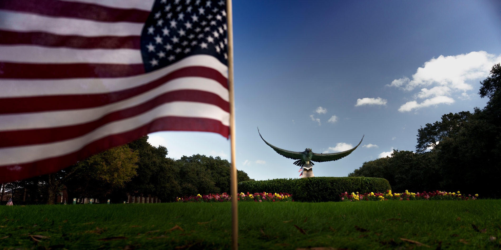 Seahawk statue behind an American flag