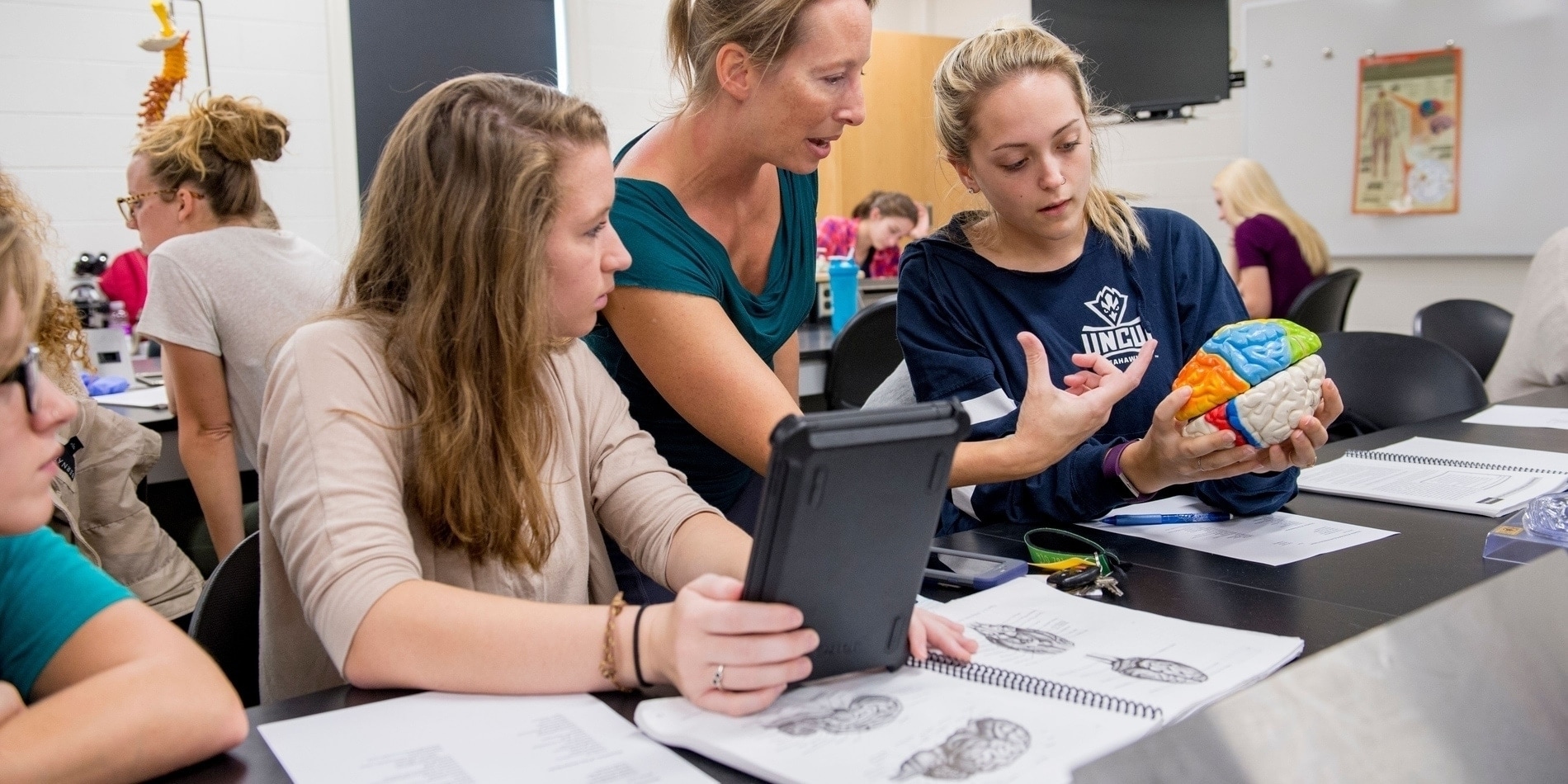 CT-SCANS INCORPORATED INTO HUMAN ANATOMY CLASS