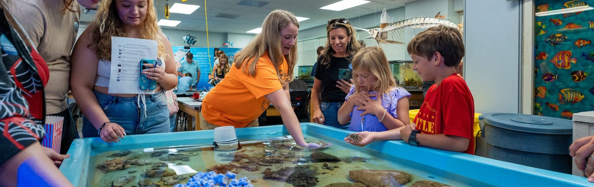 Aquarium touch tank