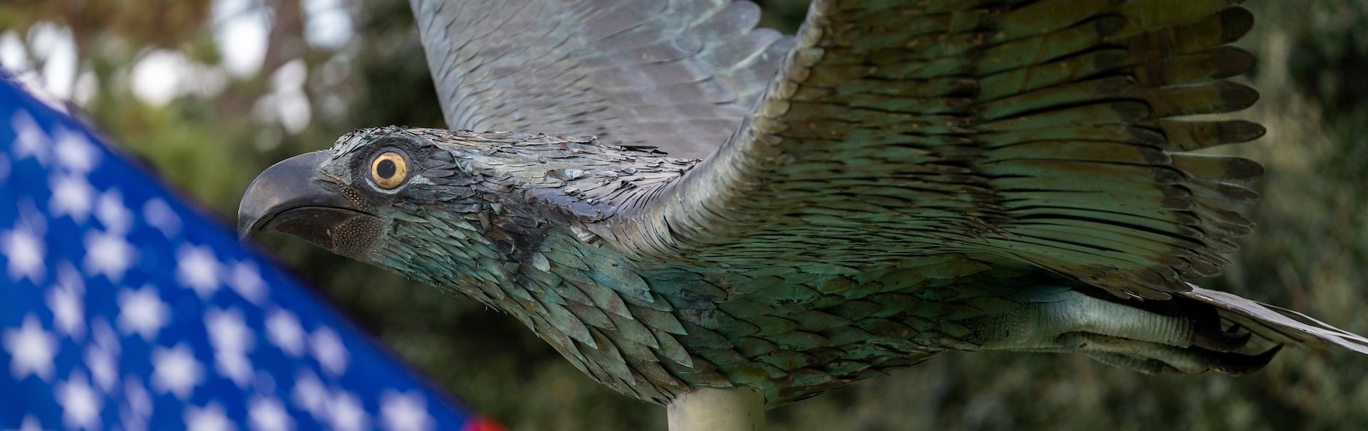 uncw seahawk statue