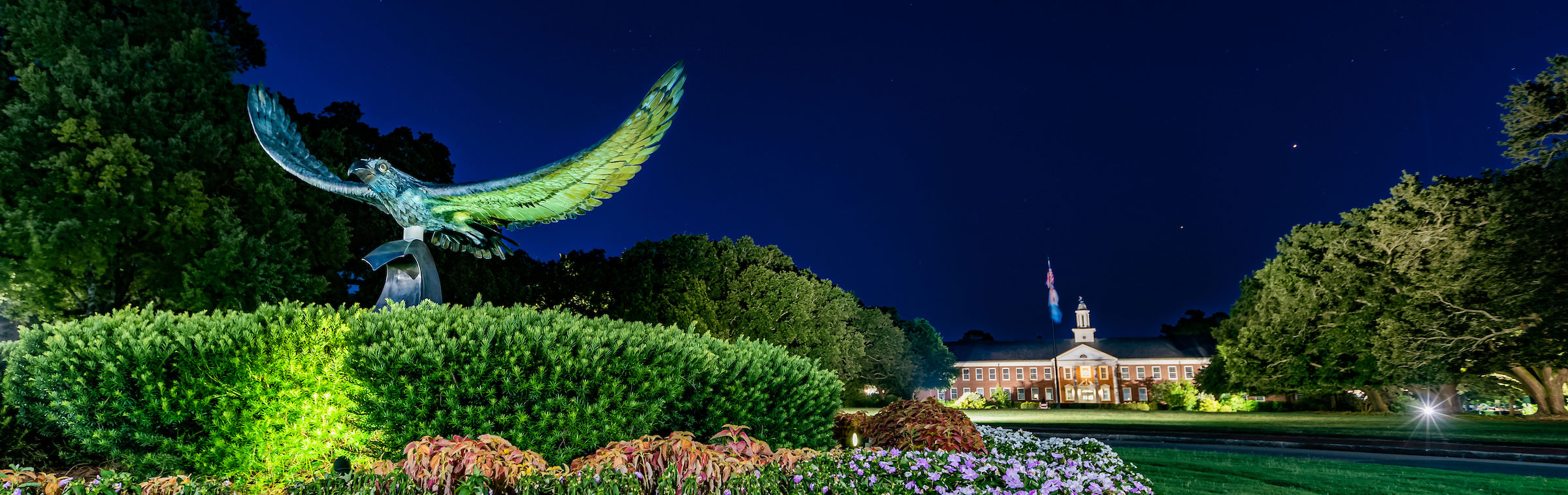 seahawk statue at night in front of hoggard hall