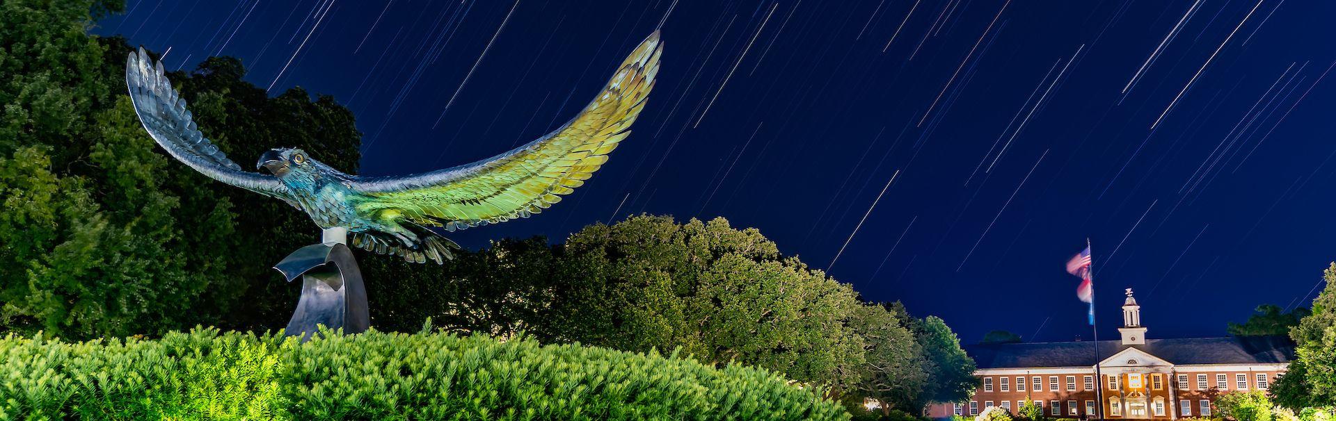Seahawk Statue with star trails in the night sky